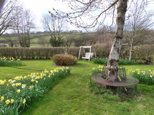 Photo 45- click for photo gallery